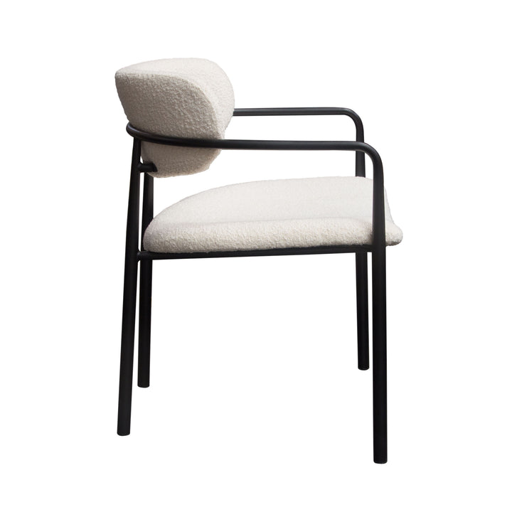 Skyler Dining Chairs Set of (2)