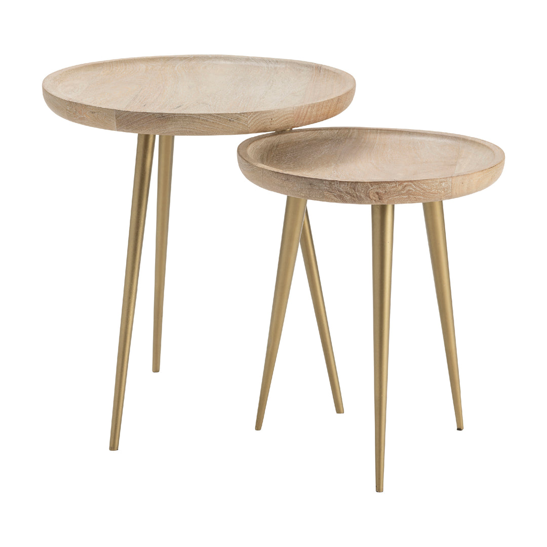 Bengal Manor Mango Wood Set of 2 Tray Top Accent Tables with Antique Brass Metal Legs
