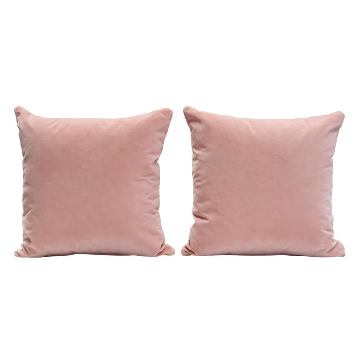 Set of (2) 16" Square Accent Pillows